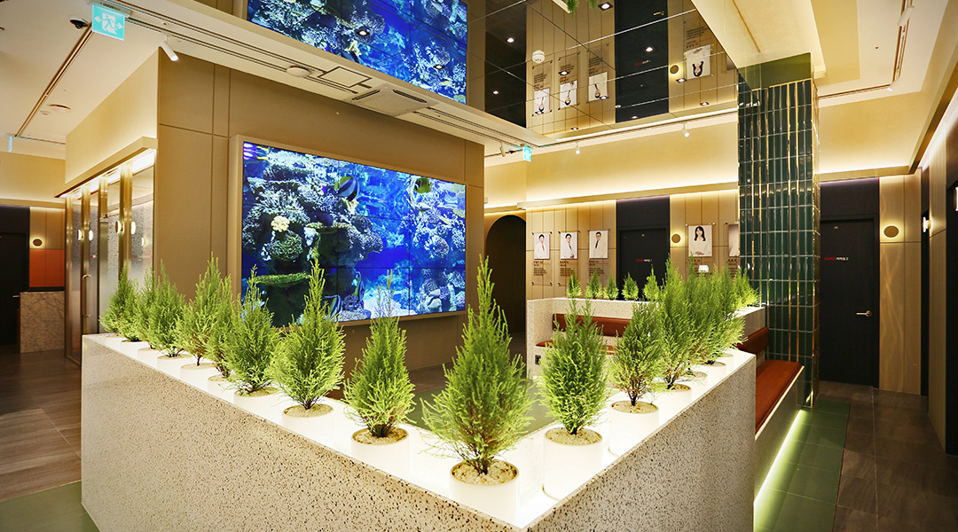 Клиника пластической хирургии «Элит»