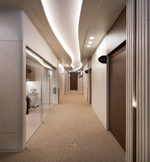 Breast Augmentation in Seoul