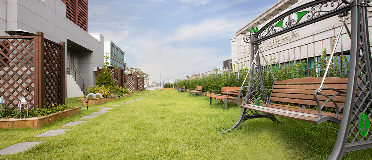 Breast Augmentation in Seoul